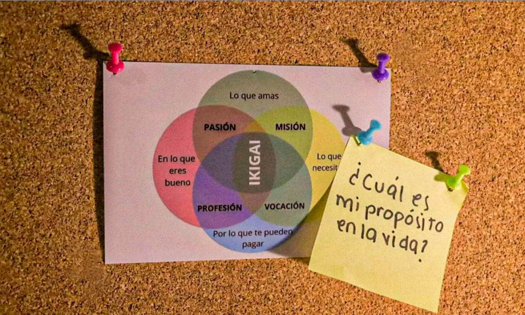 Ikigari exito profesional