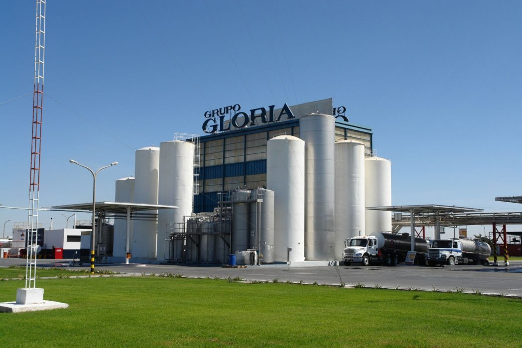 Gloria Arequipa scaled