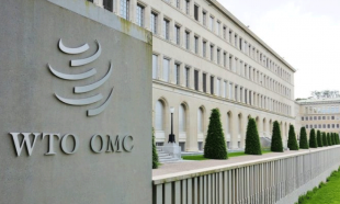 Informe de la OMC revela brechas críticas en el financiamiento del comercio en Guatemala, Honduras y México 2