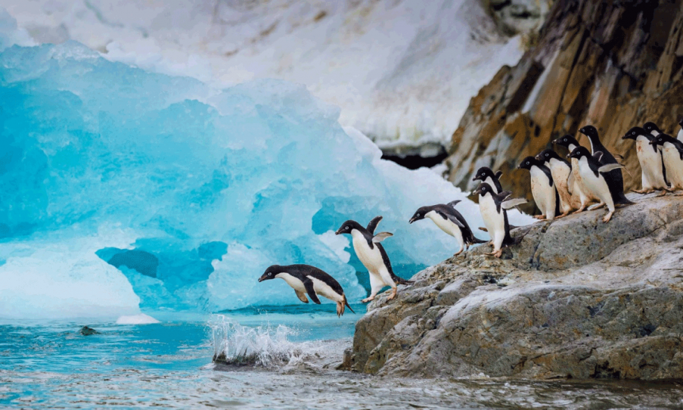 La Antartida como escenario estrategico Formacion ejecutiva internacional de ITAE (Espana) y CEEN (Chile)