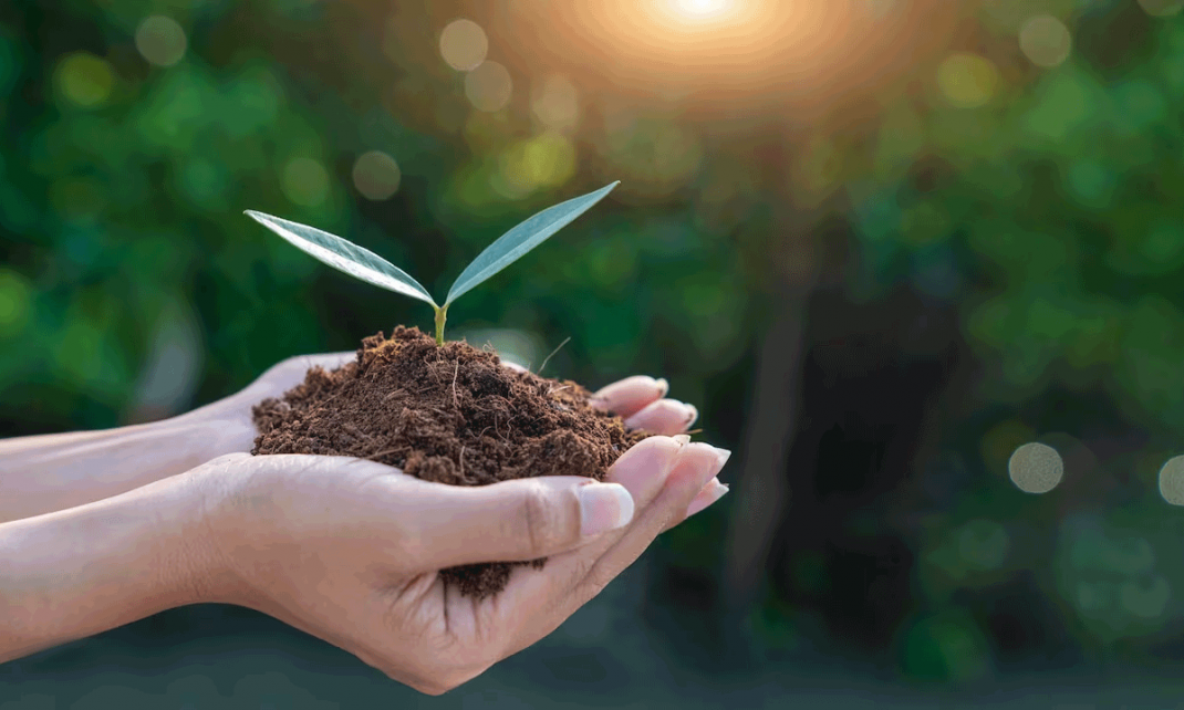 Sistemas Sostenibles y Rentabilidad La Gestion Ejecutiva de la Transicion Energetica Global